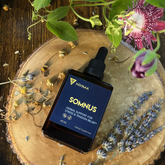 Somnus Tincture: Liquid Herbal Extract